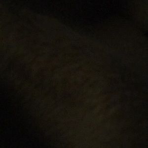 Meet your Posher, Sabra